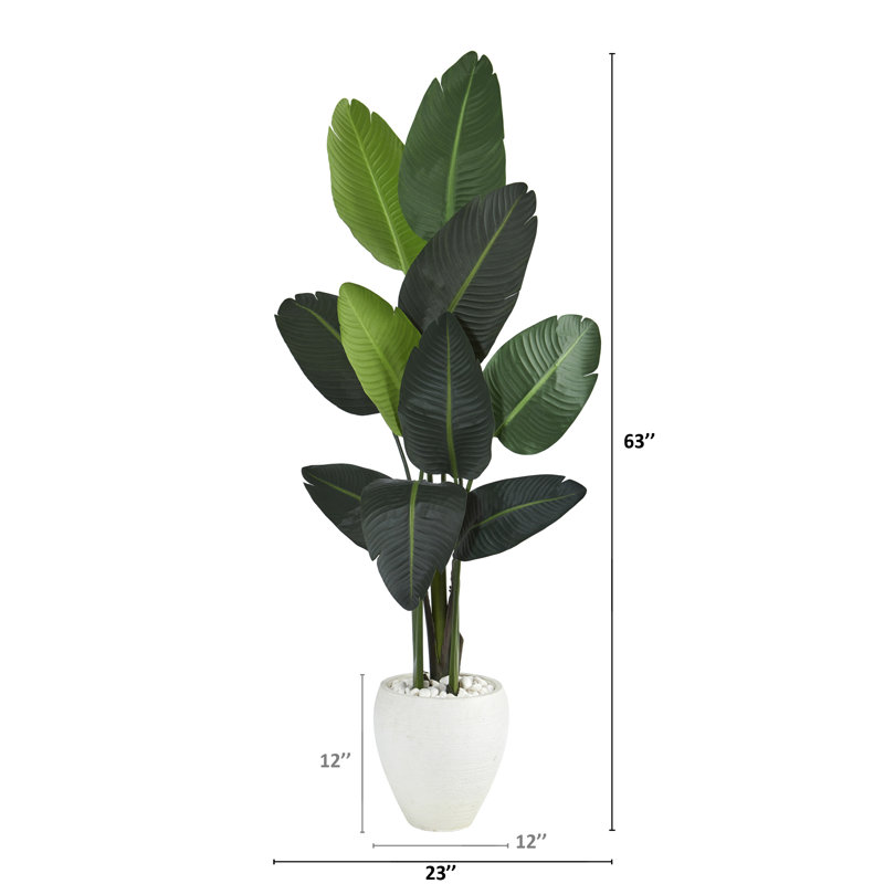 63'' Faux Banana Leaf Tree in Fiber Clay Planter