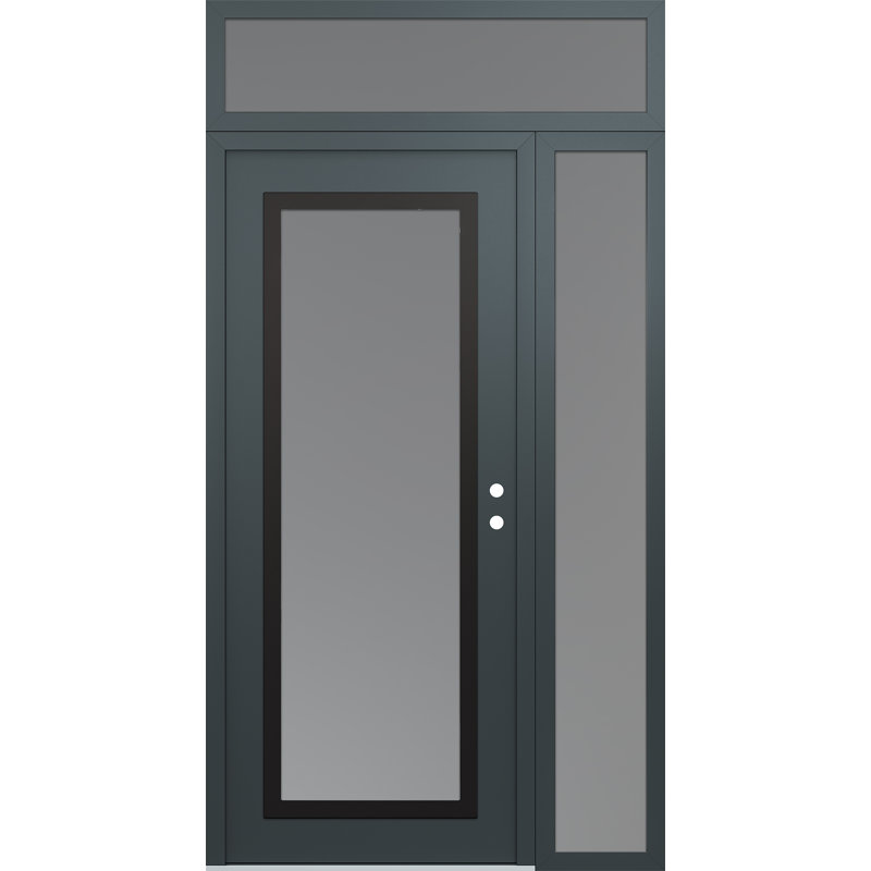 Panneau d'entrée en acier noir anthracite / anthracite avec panneau latéral et porte d'entrée pré-montée Transom, Gelé