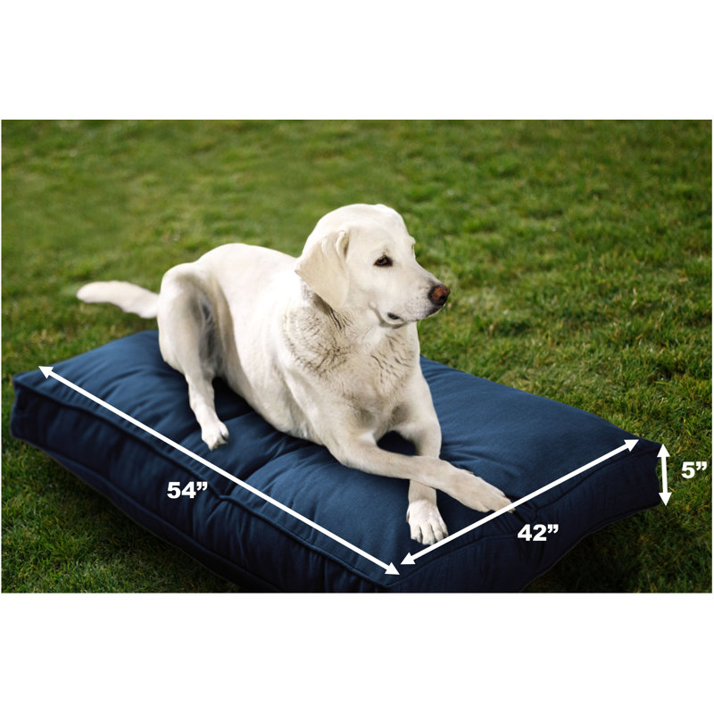 Lit pour chien d'intérieur et d'extérieur Sunbrella, Brume, Moyen (l 36 po x P 26 po x H 4 po)