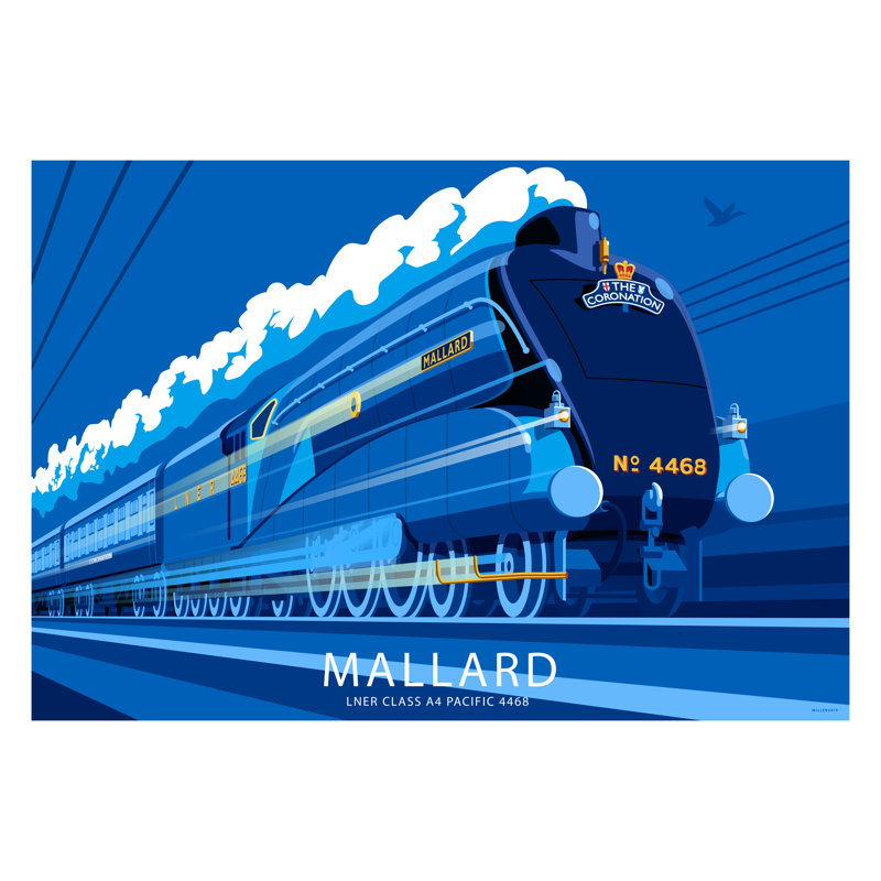 Mallard by Stephen Millership - Print, 40cm H x 50cm W x 1cm D, No Frame