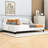 Full Size Tufted Upholstered Daybed with Slats-1908838066