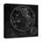 " Round World Map Black "