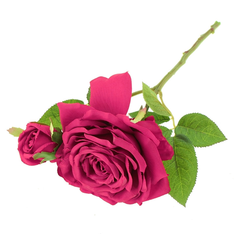 Rose Arrangement, Pink