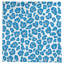 Nappe Football-1576809629-1576809621