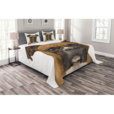 Wonderlin 264 TC Duvet Cover Set