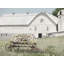 «August Green® Deiter, Lori Gallery», art sur toile tendue: Valley Greenhouse-1084272556