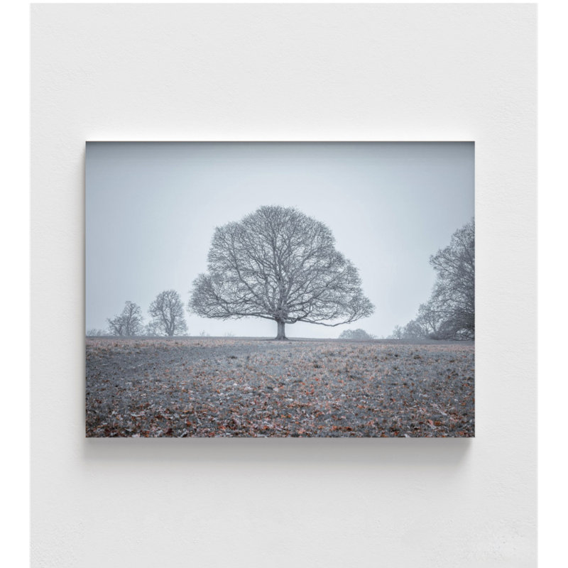 Reproduction de photo encadrée arbre, décor mural paysage de ton froid, impression d'art mural botanique, plantes, décoration murale, art mural encadré, art mural surdimensionné