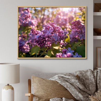 " Purple Lilac Fragrant Blossoms V "