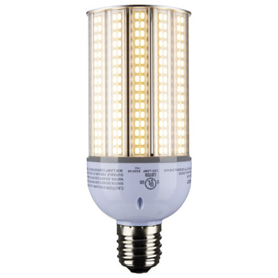 30 Watt Clear LED Bulb