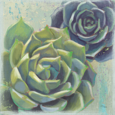 Succulents I 1 Piece Wrapped Canvas Painting