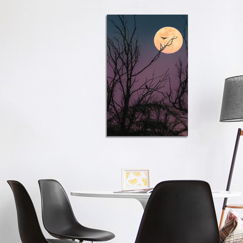 Moon Night by Nirs Photography - Wrapped Canvas Painting, 101.6 cm H x 66.04 cm W x 3.175 cm D
