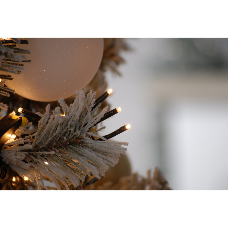 520 Sparkle Fairy Light, 3.5cm H x 2890cm W x 0.5cm D, Warm White