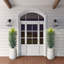 Tall Agave Sisalana in White Artemis Planter