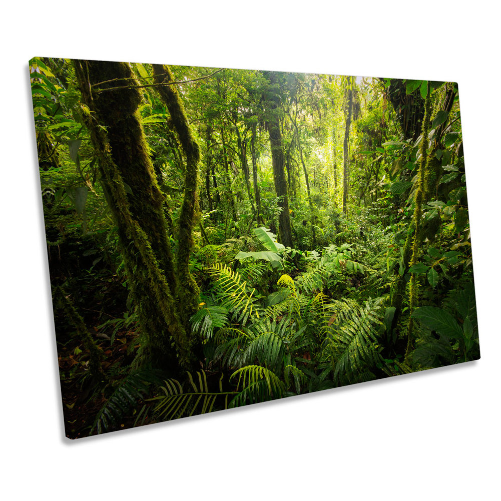 Union Rustic Forest Landscape Green Trees CANVAS WALL ART Picture Print ...