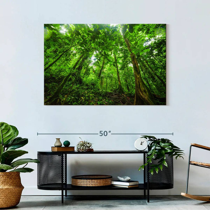 Jungle Alvord Basse-Terre, H 30 po x l 45 po