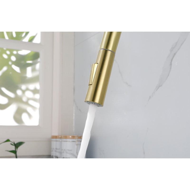 Robinet de cuisine avec douchette extractible
