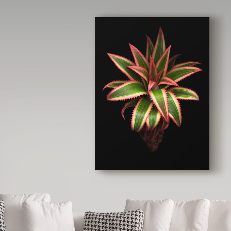 «Pineapple» par Dosta, impression sur toile tendue, H 32 po x l 24 po x P 2 po