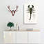 The Emperor Scorpion by Charles d' Orbigny - Wrapped Canvas-55359001