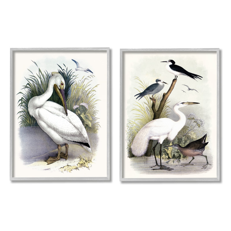 Wild Pelican Birds Avian Waterside Landscape par - ensemble de 2 impressions sur toile flottante, Estampe numérique Farmhouse