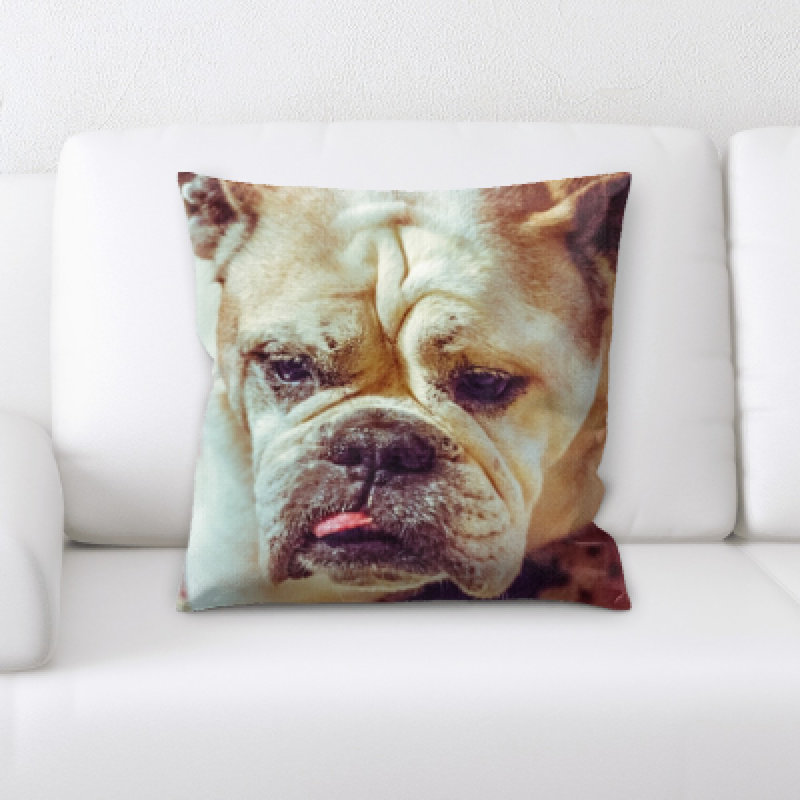 Coussin pour chien