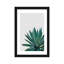 « agave cactus »-impression photographie-49905631-49905635