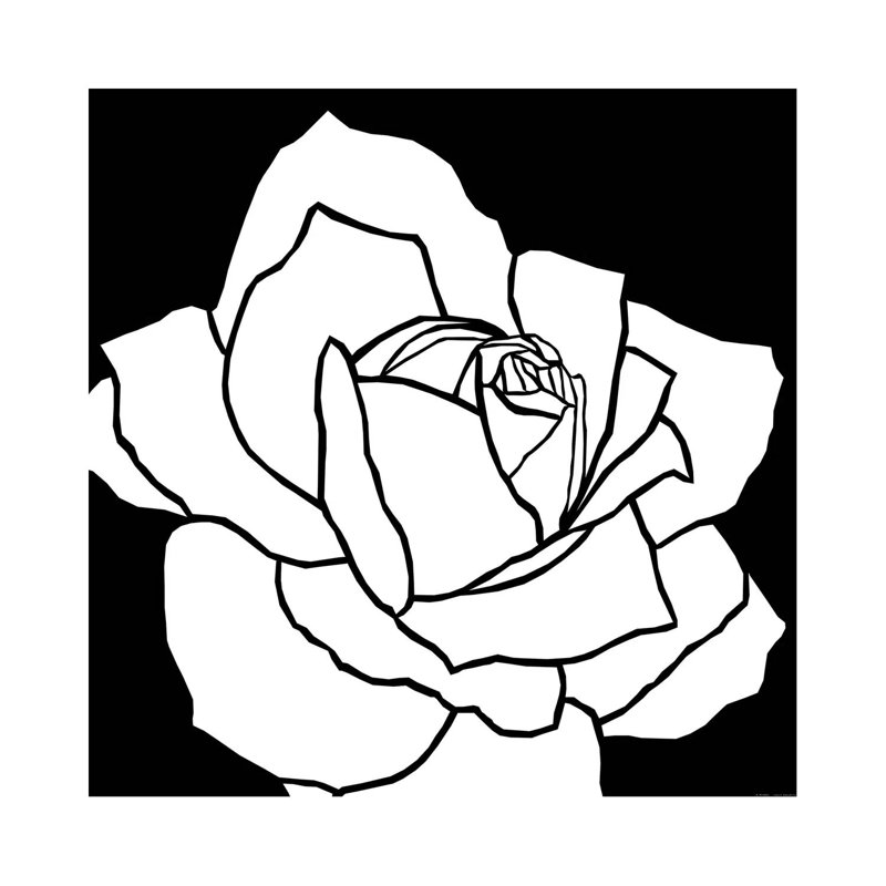 White Rose by Art Mirano - Wrapped Canvas Painting, 45.72 cm H x 45.72 cm W