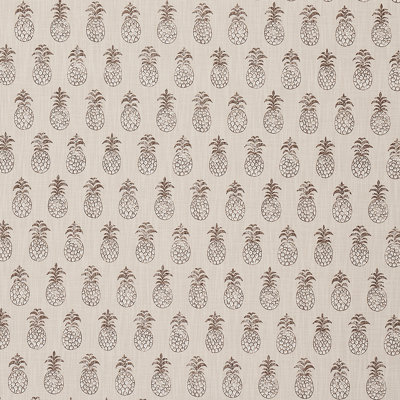 Piña Cove Indoor/Outdoor Fabric