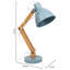 Aakash Adjustable Desk Lamp