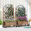 Raised Garden Bed-1696203458