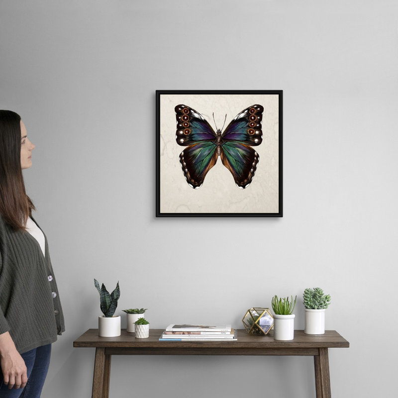 «Butterfly Study III» par Wang Melissa - reproduction d'art sur toile, H 22 po x l 22 po x P 2 po, Toile encadrée noire