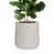 Beige Kilim