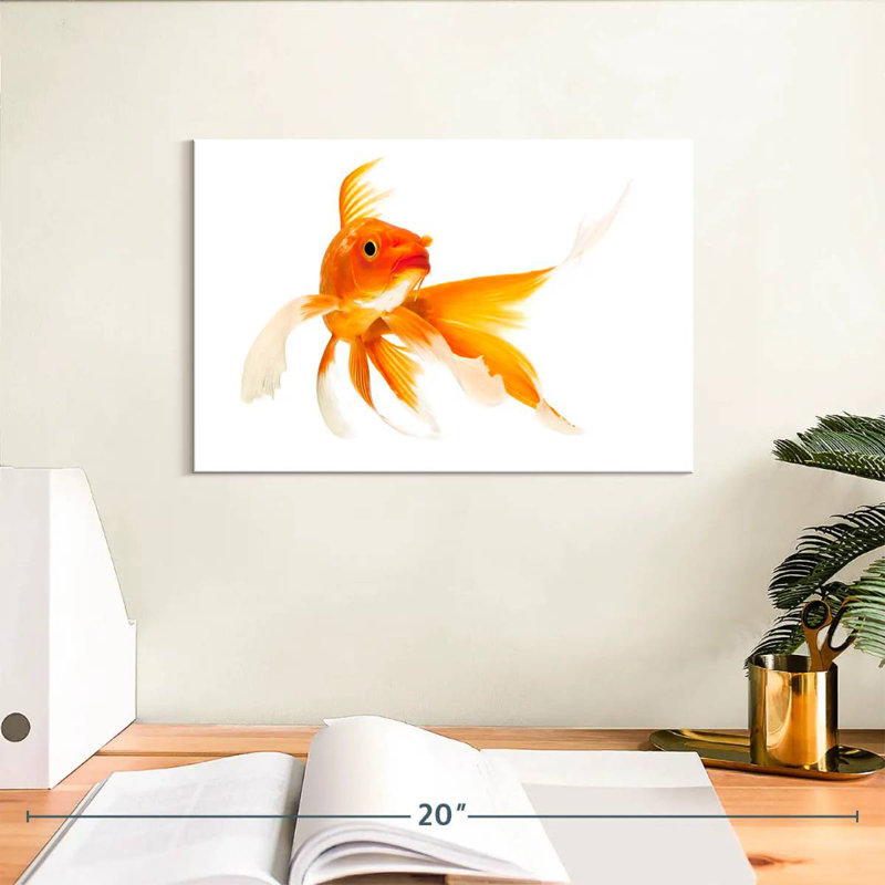 Goldfish