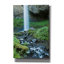 Art mural sur toile «Oregon Waterfall» par Tim Oldford