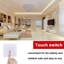 Alicano Wall Mounted Light Switch