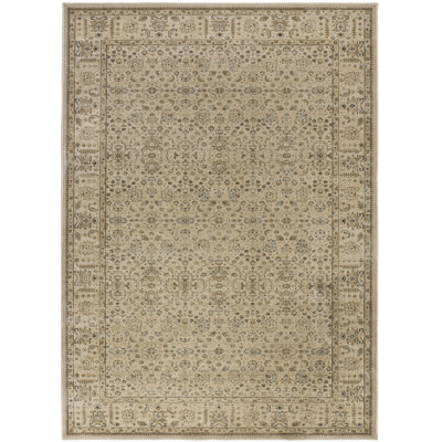 Biraghi Area Rug