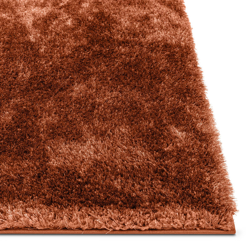 Tapis couleur terre cuite Saavedra Liza, Rectangle 5 pi 3 po x 7 pi 3 po