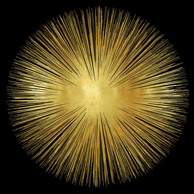 " Sunburst On Black I "