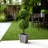 36'' Faux Boxwood Topiary in Wood Planter