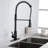 FB WERFY Pull Down Kitchen Faucet-69051061