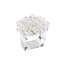 Aster Napkin Ring-1479969548