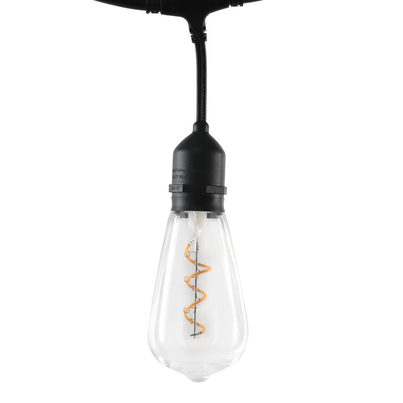 Guirlande de 20 lumières DEL Serkan givrées Edison Serkan
