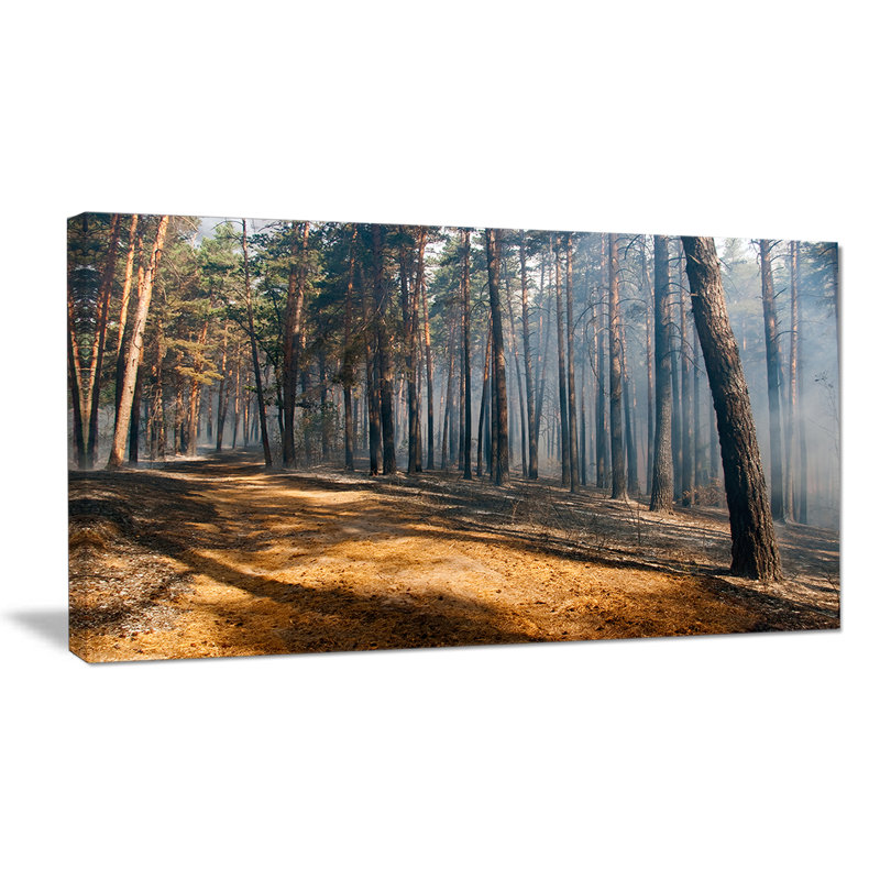 «Fire in Forest with Flame and Smoke», reproduction de photo sur toile tendue, H 28 po x l 60 po