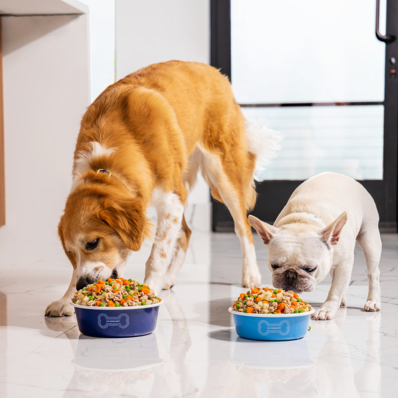 Pet Dog Bowl, Carmin, Large (6 cups)