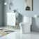 1.1/1.6 GPF Dual-Flush Elongated One-Piece Toilet with 17.32" ADA Comfort Seat Height, Ceramic Glazed Surface(Soft Close Seat Included), 3 Colors