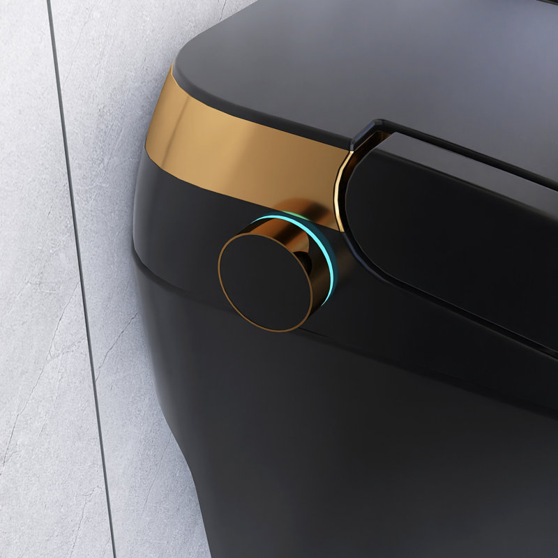 Toilette simple en céramique Smart 1,28 GPF, Noir