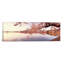 «Cherry Blossoms at The Lakeside, Washington, DC», reproduction de photo sur toile-19968358-71992472