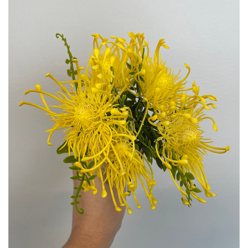 Buissons de fleurs de lion Dandy