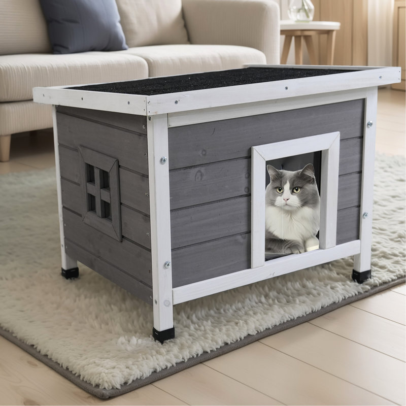 FF-911419957116 Small Animal