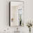 Cyrille Recessed & Surface Framed Medicine Cabinet with Mirror and Shelves-860957889-816041147