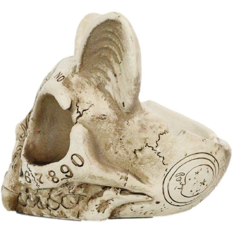 Arcilia Fantasy & Sci-Fi Figurines & Sculptures